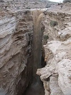Flash flood in Ein Avdat