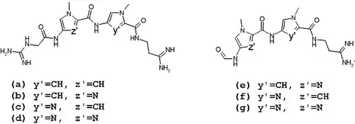 Two groups of lexitropsins
