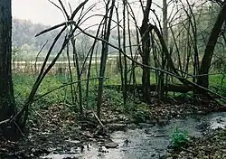 Ryerson Station State Park is in Richhill Township.