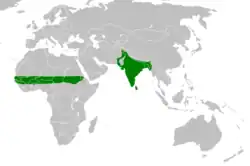 Equatorial Africa, India, Pakistan, Bangladesh, Nepal, and Burma