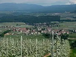Taio was a comune (municipality) in Trentino in the northern Italian region Trentino-Alto Adige/Südtirol, located about 30 kilometres (19&nbsp;mi) north of Trento. As of 31 December 2004, it had a population of 2,694 and an area of 11.3 square kilometres