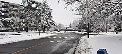 Looking South on Springland Dr
