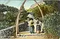 Whalebone arch